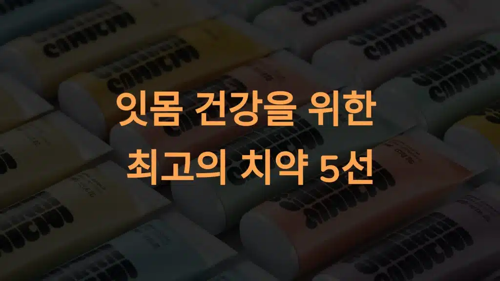 잇몸 치약 추천: 잇몸 건강을 지키는 최고의 제품 5가지