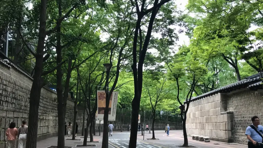 가족과 가기 좋은 가을 꽃축제 가이드 주제와 관련된 실제 현장 사진