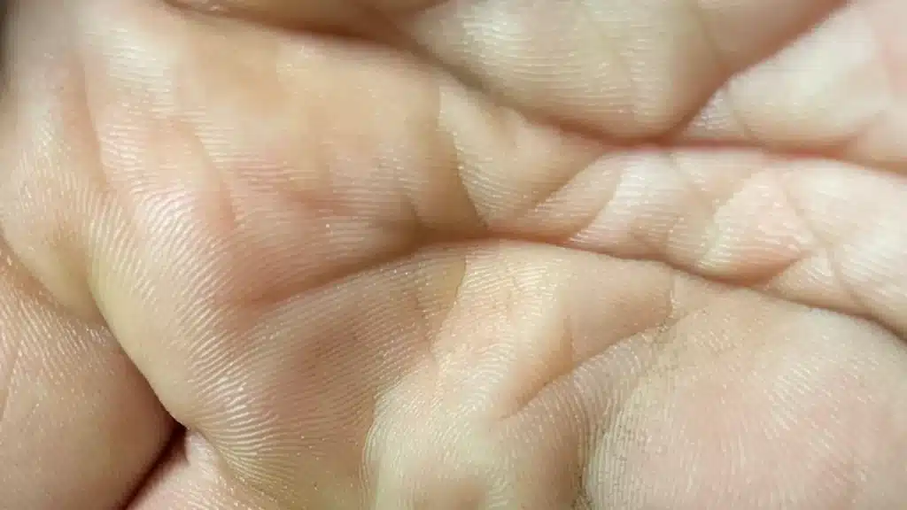 블랙박스 영상 보관 기간 계산 주제와 관련된 실제 현장 사진