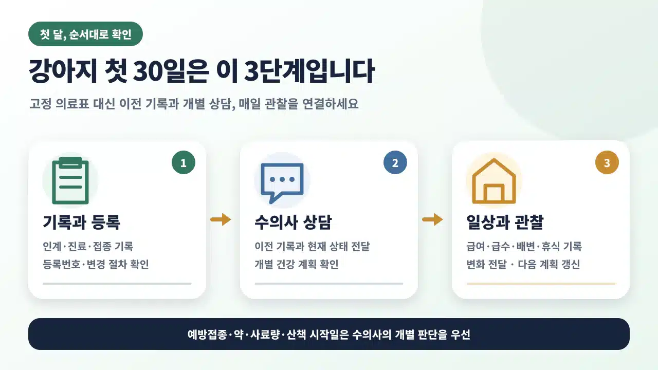 강아지 첫 달에 인계 기록, 동물등록, 수의사 상담, 안전한 일상, 매일 관찰 기록을 순서대로 확인하는 체크 흐름