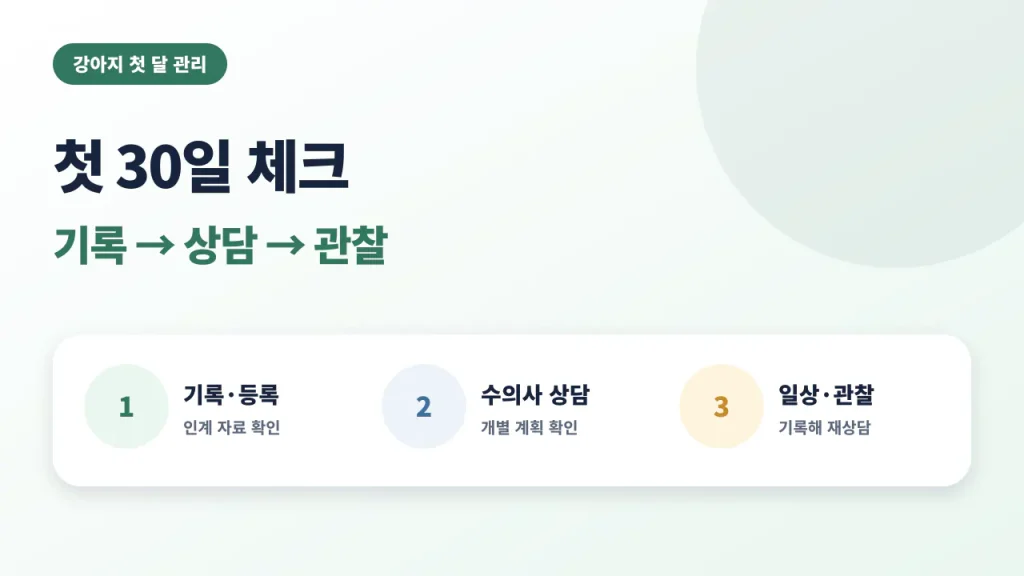 강아지 첫 30일에 기록과 등록, 수의사 상담, 안전한 일상 관찰을 확인하는 안내