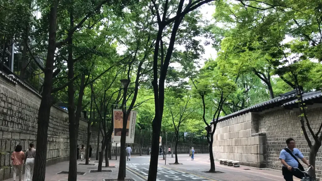 서울 정동길 돌담과 가로수가 이어지는 실제 산책 풍경