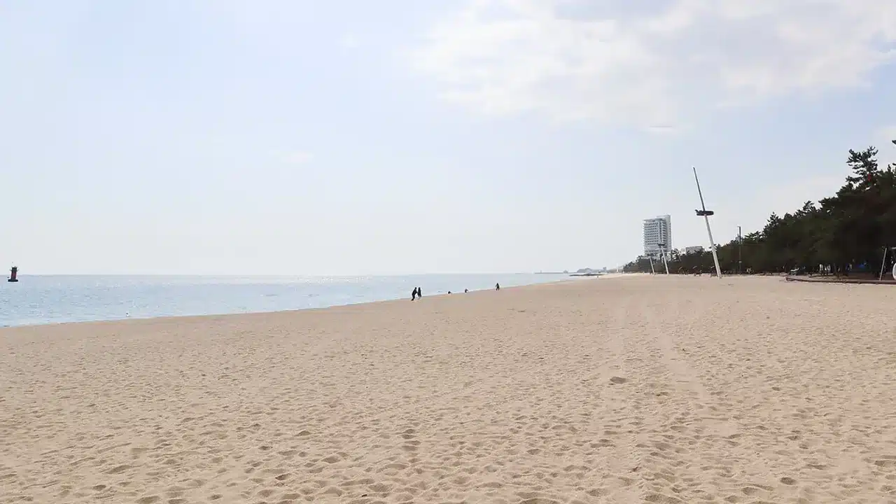 삼척 장호 바다를 바라보며 가족여행을 즐기는 모습
